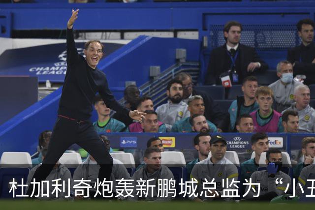 杜加利奇炮轰新鹏城总监为“小丑”：滚回家去吧，你根本不懂足球